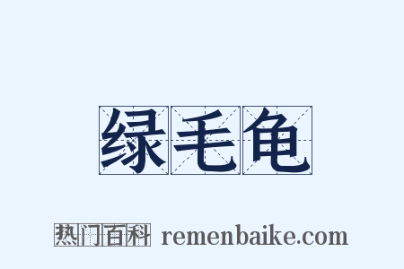 绿毛龟是什么意思的图片